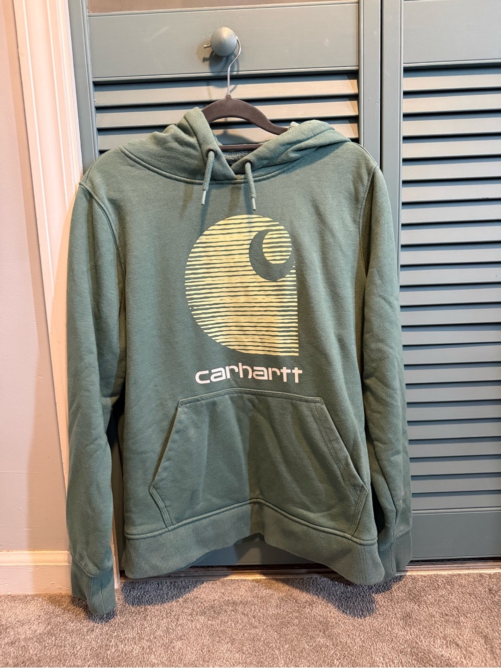Carhartt Rain Defender Relaxed Fit Graphic Hoodie Green Medium